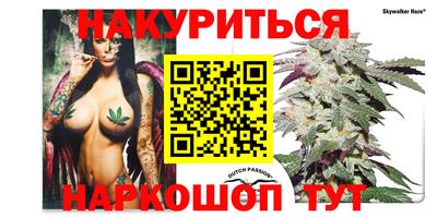 spice Краснодар