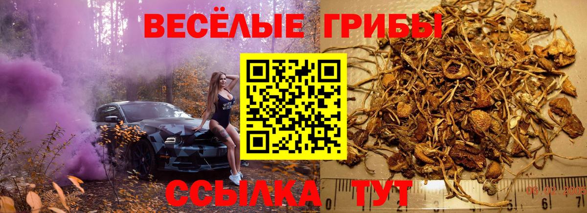 Псилоцибиновые грибы мухоморы Зеленодольск