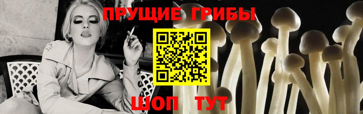 Псилоцибиновые грибы мицелий  Вход с VPN  Зеленодольск 